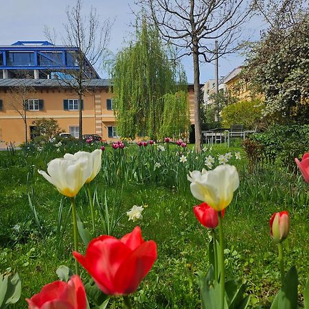 Yellow Flat By Grazrentals With Best Location & Free Parking Екстериор снимка